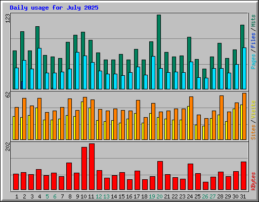 Daily usage for July 2025