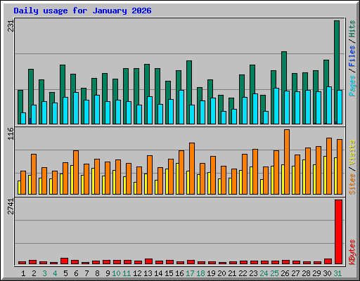 Daily usage for January 2026