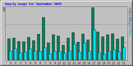 Hourly usage for September 2025