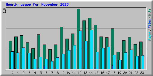 Hourly usage for November 2025