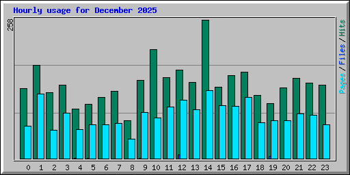 Hourly usage for December 2025