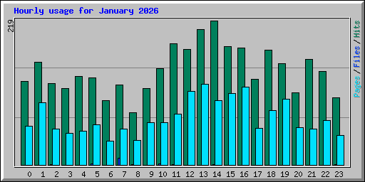 Hourly usage for January 2026