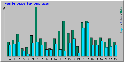 Hourly usage for June 2026